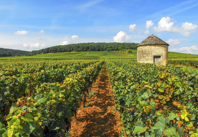 Bourgogne-Franche-Comté