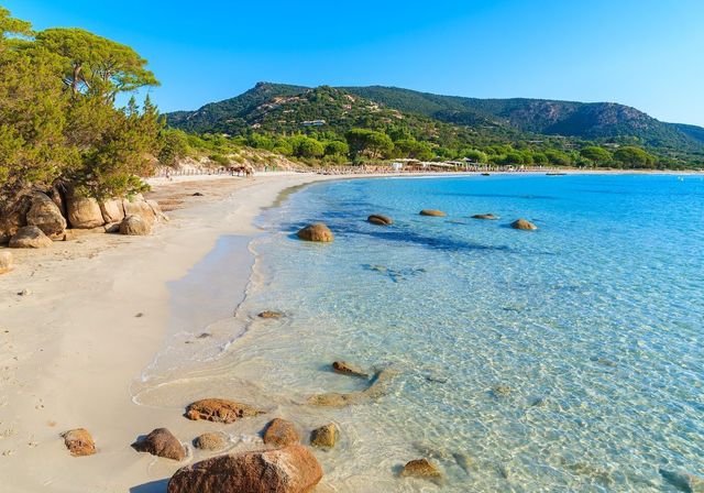 Corse